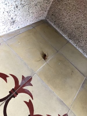 Hotel Posada del Mar by null