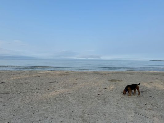 Sandbanks Provincial Park by null