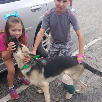 Big Country Veterinary Clinic - Veterinarians Near Me - Abilene, Texas