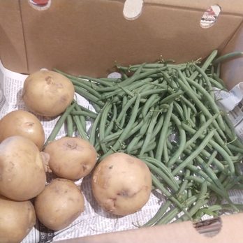 Gruber CSA Farm - Potatoes and string beans. - CSA Near Me - Saint George, South Carolina Gruber CSA Farm - Potatoes and string beans. - CSA Near Me - Saint George, South Carolina