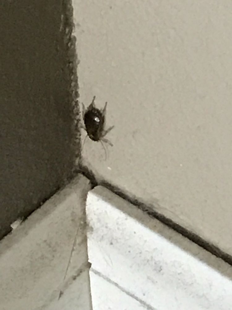 HUBBELL REALTY COMPANY Updated October 2024 42 Photos & 12 Reviews