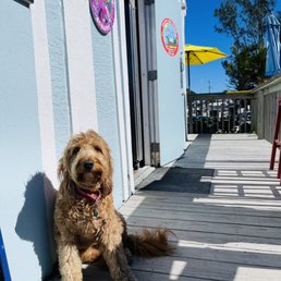 Jetty Jacks Mascot Jetty Jacks Mascot