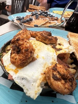 Amy's Omelette House - Long Branch by null