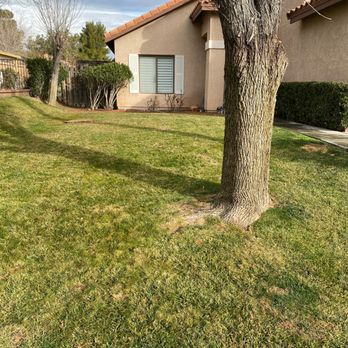 Pro Lawn Care - January 13, 2022 photo of my front yard. Clean and professional job. - Gardeners Near Me Pro Lawn Care - January 13, 2022 photo of my front yard. Clean and professional job. - Gardeners Near Me