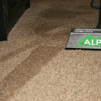 Alpine Cleaning & Restoration - a sign on the floor - Carpet Cleaning Near Me - Smithfield, Utah Alpine Cleaning & Restoration - a sign on the floor - Carpet Cleaning Near Me - Smithfield, Utah