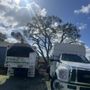 Photo of Hernandez Tree Service