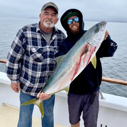 Pacific Dawn Sportfishing - Beautiful yellowtail