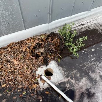 Roofs Done Right - Leaves removed - Roofing Near Me