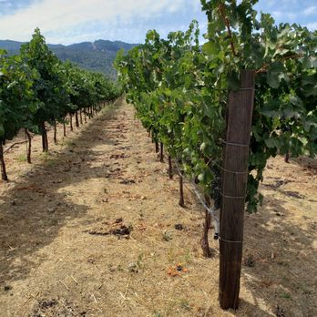 HALL Wines - Wineries Near Me - Saint Helena, California HALL Wines - Wineries Near Me - Saint Helena, California