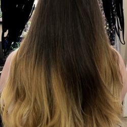 Bishops Cuts/Color