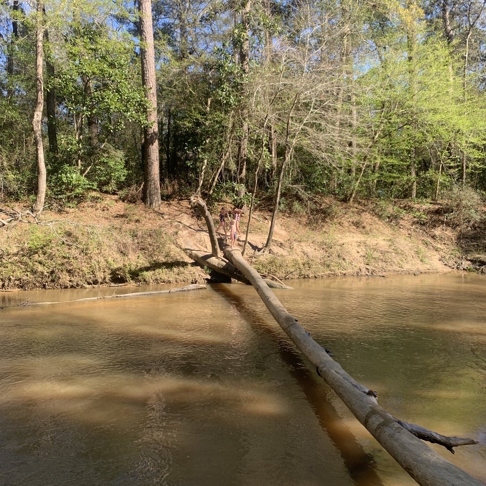 Lake Houston Wilderness Park - See if you can cross it, not deep at all below - Parks Near Me - New Caney, Texas Lake Houston Wilderness Park - See if you can cross it, not deep at all below - Parks Near Me - New Caney, Texas