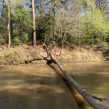 Lake Houston Wilderness Park - See if you can cross it, not deep at all below - Parks Near Me - New Caney, Texas Lake Houston Wilderness Park - See if you can cross it, not deep at all below - Parks Near Me - New Caney, Texas