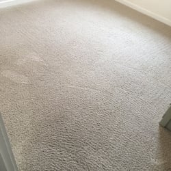 Oxi Fresh Carpet Cleaning - Fresh Oxi Cleaned Carpets! smells so good!