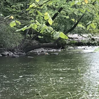 Gronsky's Milk House - In the back of the store there is a peaceful brook - Ice Cream & Frozen Yogurt Near Me - High Bridge, New Jersey
