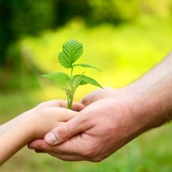 Larsen & Rice- Attorneys at Law - Family Lawyer | Caldwell Idaho, Nampa Idaho, Meridian Idaho, Boise Idaho