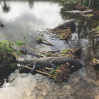 Gatorland - Zoos Near Me - Orlando, Florida