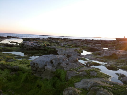 Playa de los Caños de Meca by null