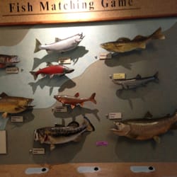 Colorado Wildlife Museum