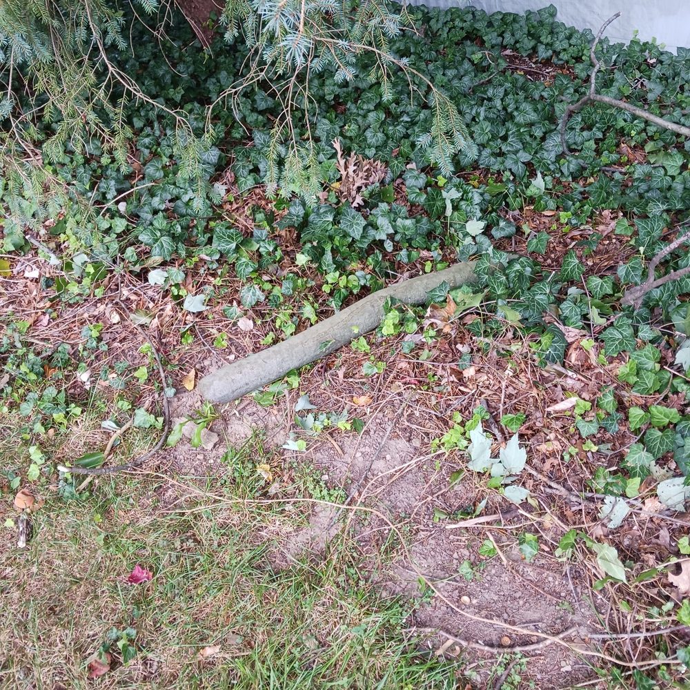 HERCULES TREE SERVICE Updated September 2024 15 Photos & 15 Reviews