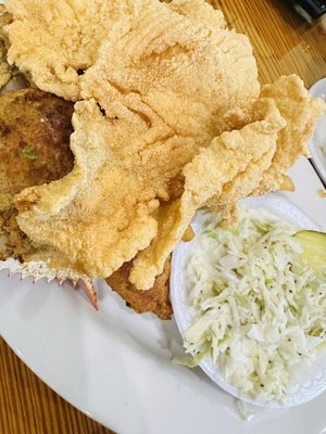 Middendorf's Manchac by null