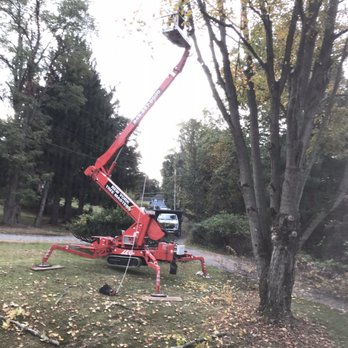 New York Tree Masters - Tree Services Near Me - Cornwall, New York