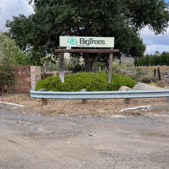 Big Trees Nursery - Nurseries & Gardening Near Me - Escondido, California Big Trees Nursery - Nurseries & Gardening Near Me - Escondido, California