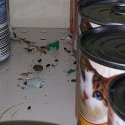 Sobeys - You wont be the only one droppings in, I mean dropping in. Same thing found in the same isle each week for over a month now.