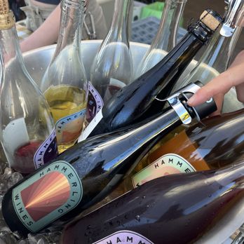 Hammerling Wines - All the wines! - Wine Tasting Room Near Me - Berkeley, California