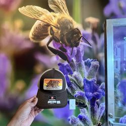 Savannah Bee Company