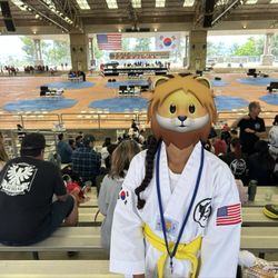 540 Taekwondo - Martial Arts
