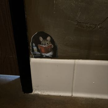 Kork Sips & Snacks - Little mouse reading his book in the ladies room. I couldn't resist taking this picture. - Wine Bars Near Me - Fair Oaks, California Kork Sips & Snacks - Little mouse reading his book in the ladies room. I couldn't resist taking this picture. - Wine Bars Near Me - Fair Oaks, California