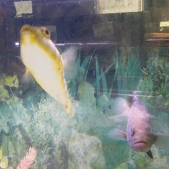 Beavertail Aquarium - Aquariums Near Me - Jamestown, Rhode Island