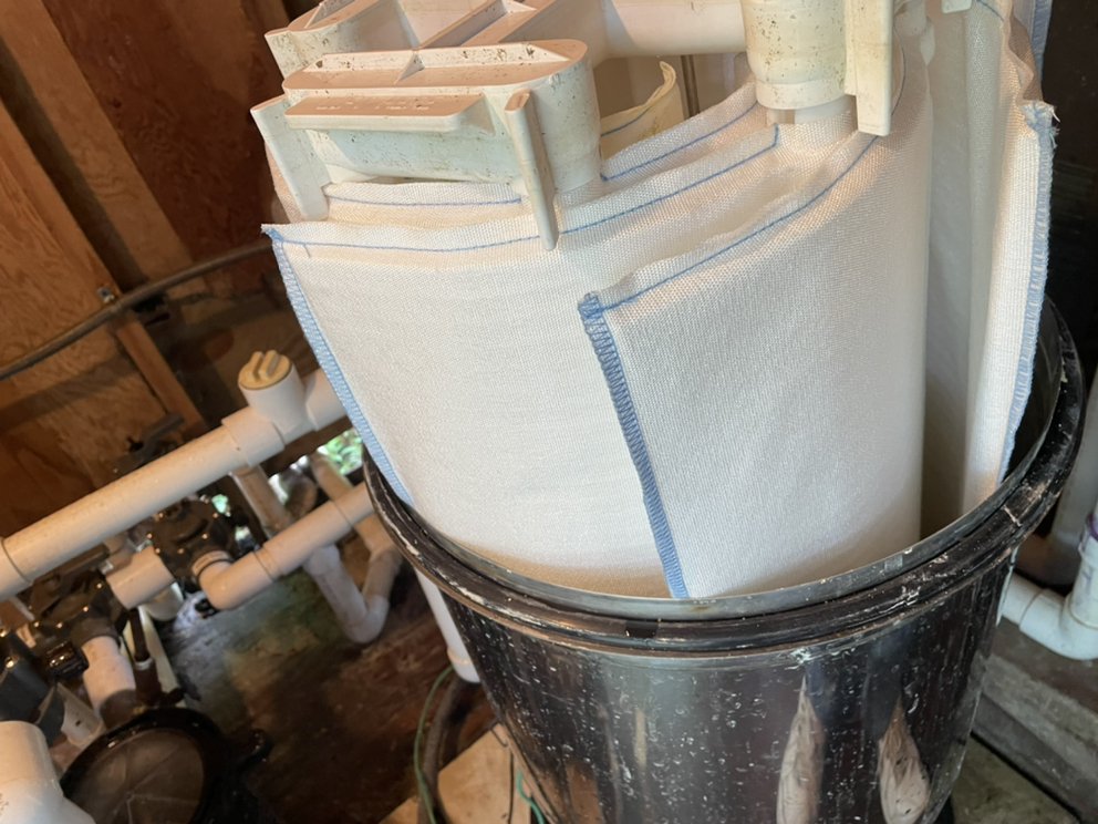 BRANDYWINE POOLS Updated August 2024 24 Photos Coatesville