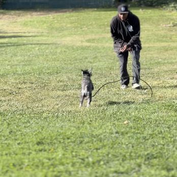PowerHouseK9 - Pet Training Near Me PowerHouseK9 - Pet Training Near Me