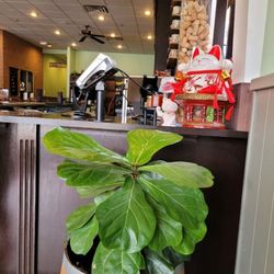 Thai Basil Kitchen