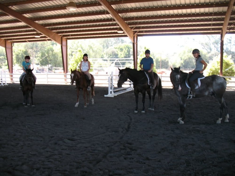 Morning Star Farm - equestrian in Novato, CA
