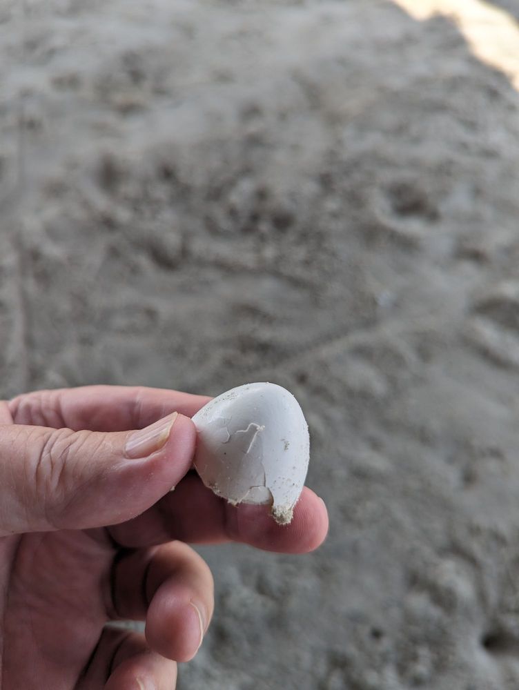 City of Port Aransas