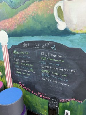 Menu photo 1 Beans Cat Cafe Beacon, NY