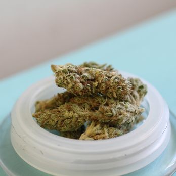 NETA New England Treatment Access - facewreck, maybe - Cannabis Clinics Near Me - Northampton, Massachusetts
