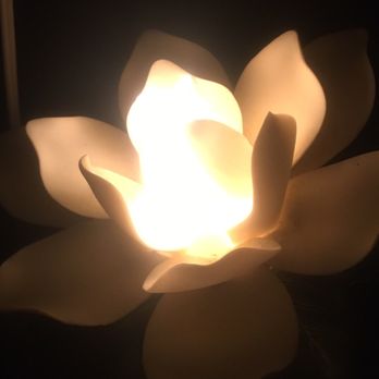 The Chalfonte Hotel - Cool flower decoration - Hotels Near Me - Cape May, New Jersey The Chalfonte Hotel - Cool flower decoration - Hotels Near Me - Cape May, New Jersey