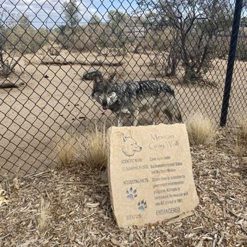 Heritage Park Zoological Sanctuary - Zoos Near Me - Prescott, Arizona