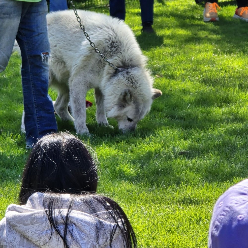 Big Run Wolf Ranch - Education Near Me - Lockport, Illinois