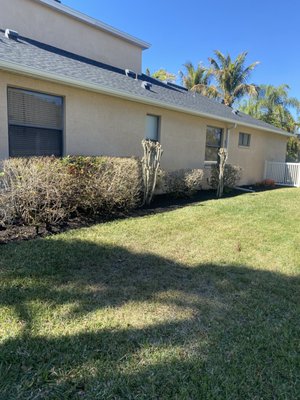 Blue Stone Lawn Care on Yelp
