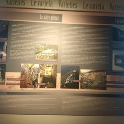 Museo Granum