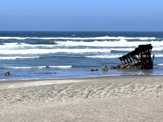 Wreck of the Peter Iredale by null