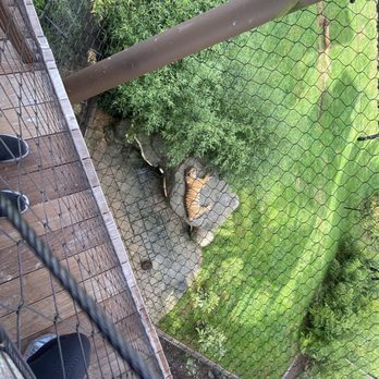 Zoo Knoxville - Zoos Near Me - Knoxville, Tennessee Zoo Knoxville - Zoos Near Me - Knoxville, Tennessee