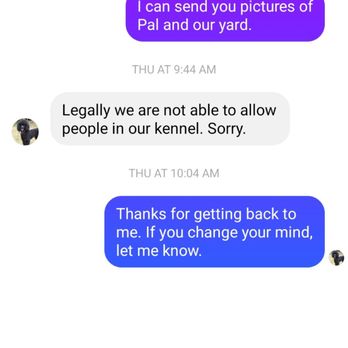 Kimron Miniature Poodles - Pet Breeders Near Me