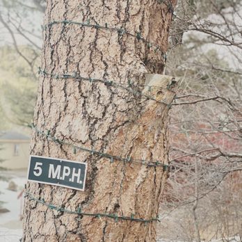 Streamside on Fall River - Hotels Near Me - Estes Park, Colorado