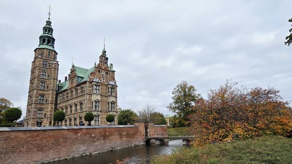 The King's Garden by null