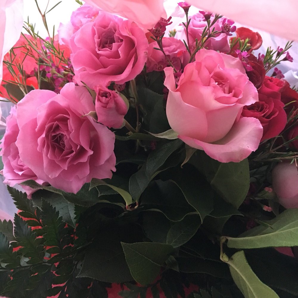 Cardell Floral - What I got. - Florists Near Me - Crystal, Minnesota Cardell Floral - What I got. - Florists Near Me - Crystal, Minnesota